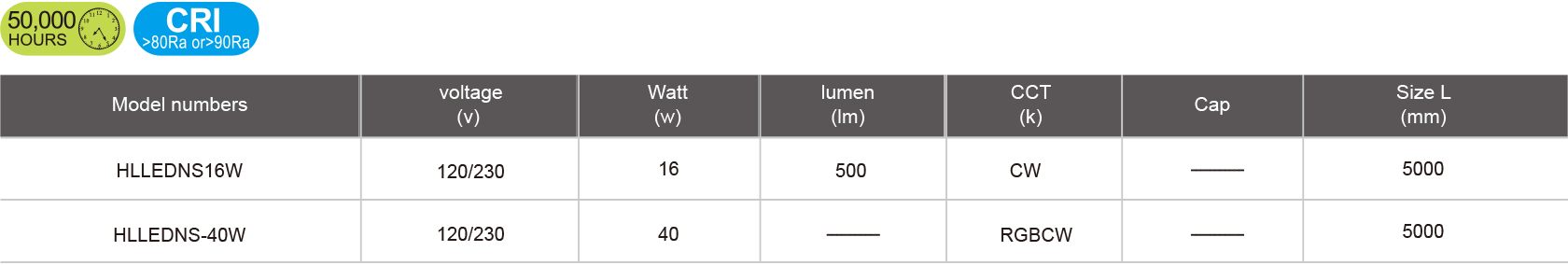 HLLEDNS16W.jpg